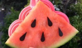 高邮网红吃瓜,揭秘网络红人的幕后故事